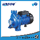  Wholesale Surface Single-Stage Centrifugal Electric Pump (HGAM)