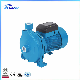 Factory Wholesale Cpm 158 1HP Centrifugal Pump Small Surface Water Pump