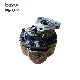  Big Discount Chinese Factory Direct Sale 110cc/R Bi-Directional Oil Pump