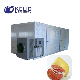 Hot Air Heat Pump Tray Vegetables Fruits Grapefruit Pomelo Dryer