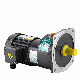 small AC gear motor, veltical, H orizonal, Manual Brake Unit