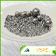 G100 5mm Stainless Steel/304 (L) /316 (L) /420 (C) /440 (C) Steel Balls for Deep Groove Ball /Linear B/ Auto/Roller/Rolling/ Ball Bearing/Needle/Slewing Bearing