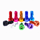 Colored Aluminum Bolts Anodized Al7075 Al6063 3mm M2m3m4 Allen Aluminum Socket Head Cap Screw Brake Rotor Screw Anodized