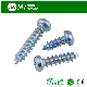  Zinc Plated Galvanized Philip Pan Head Wood Lag Screw