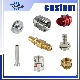 Auto Parts Custom Brass/Aluminum CNC Milling/Turning Parts with OEM & ODM Customization