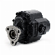  Reversible Bidirection 3 Hole Uni Italian Standard Inner Shaft Dumper Truck Gear Pump