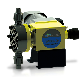 Cnp Mechanical Diaphragm Metering Pump Small Flow Dosing Pump