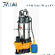 Wqd 0.55kw 0.75HP Cast Iron Sewage Submersible Water Pump