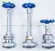  Stainless Steel Globe Valve Extended Stem with Butt Weld Ends for Liquid Oxygen, Liquid Nitrogen, LNG, etc.