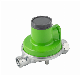 CE Approved High Flow Capacity Low Pressure Gas Regulator