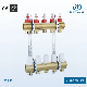 Brass Manifold with Flow Meters