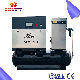 Direct Driven Portable Industrial Oilless Rotary Screw Air Compressor Energy Saving High Efficiency Compressor with Air Dryer and Tank (ISO&CE)