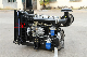 Four Storkes Forged Steel Diesel Engine for Generator/ Diesel Generator / Diesel Power Generator with Fan and Radiator