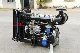 Four Storkes Forged Steel Diesel Engine for Generator/ Diesel Generator / Diesel Power Generator with Fan and Radiator