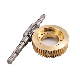 Custom OEM Quality Precision Parts Worm Gear Parts