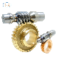 Brass/Bronze/Stainless Steel Helical Safety Gear Stepper Motor Worm Gear manufacturer