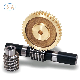 Custom Modulus Gear Lathe Bronze Gears Brass Turbine Worm Gear manufacturer