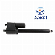 6000n 12V 50-900mm Linear Actuator Used for Autotruck