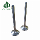 Marine Power Diesel Parts Intake and Exhaust Valve Engine