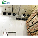 Customized Design Cold Storage Freezer Room in Food Processing, Farms, Warehouse