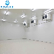  10 Years Warranty Cold Storage Room for Fruits Vegetables Meat Fishes