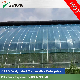  Bolt Connection Single Slope Solar Greenhouse for Winter Vegetable/Flower/Hydroponics