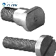 99.95% High Purity Molybdenum Bolt Nuts