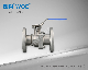 Investment Casting 2PC Manual Industrial Flange Valve