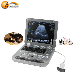 Veterinary Cheap Ultrasound Machine Portable Fram Used Medical Laptop Ultrasonic