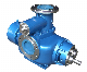  China Marine Twin Screw Pump for Crude Palm Oil Transfer