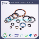 Zink Plated Dowty Seal Metal Gasket Inch Size Self-Centering Bonded Seal