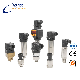  0~100MPa Range Hirschman Connector Diffusion of Silicon Core CNG Pressure Sensor