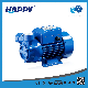  Vortex Color Horizontal Motor 1HP Water Electric Pump (HLQ)