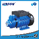 Sample Customization 220V 50Hz Factory High Quality Peripheral Water Pump (IDB)