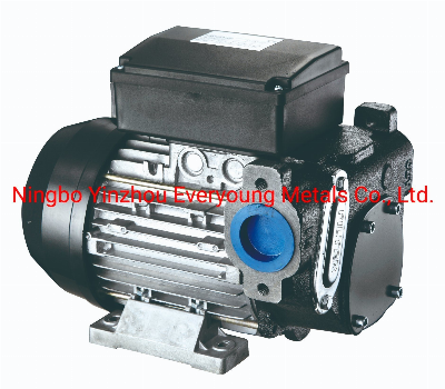 CE Certificate Fuel Transfer Pump Panther 72 AC Diesel Pump 220V 500W 1" Bsp 72L/Min Mobile Refueling Self Priming Electric Diesel Pump Vane Pump