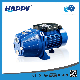  Basic Customization High Pressure Self-Priming Jet Horizontal Water Pump (JET-S)