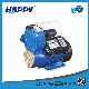  Domestic 0.5 1HP Clean Water Smart Self Priming Pump (HQSm-AX)