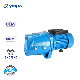  Yinjia Brand 1HP Jsw/10m High Pressure Self-Priming Jet Water Pump for Sprinkling Irrigation