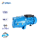 Yinjia Brand 1HP Jsw/10m High Pressure Self-Priming Jet Water Pump for Sprinkling Irrigation