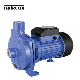 Surface Centrifugal Self-Priming Electrical Water Pump for Boosting and Presurizing