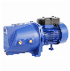  Werto Jsw-10m High Pressure Self-Priming Jet Pump Electric High Lift Water Pump