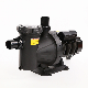 Factory Supply Electrical Water Pump for SPA and Swimming Pool