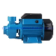  Qb60 0.5HP Surface Peripheral Self-Priming Vortex Pump