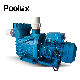 2022 New Design Strong Power Swimming Pool High Pressure Water Pump