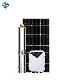 4 Inch Stainless Steel AC DC Solar Power Submersible Screw Impeller Borehole Pump