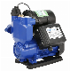 Werto Best Factory Price Water RAM Pump Price Small Interlligent Irrigation Water Pump