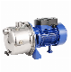 Werto Electric Water Pump Price Stainless Steel Hydraulic Pump Self-Priming Jet Water Pump