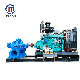  Large Flow Centrifugal Water Pump Horizontal Double Suction for Irrigation