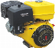 Extec Strong Power Gx420 15HP 4 Strokes 3600rpm Portable Gasoline Engine for Tiller