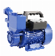  Werto Wzb Series Factory Price Wholesale Peripheral Pump Clean Water Pumps